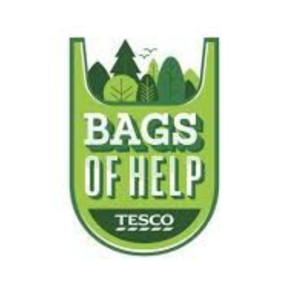 The Hills Academy TESCO Bags of Help